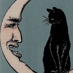 Meet your Posher, Carly